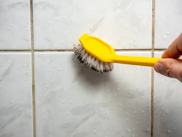 Best Local Mold Removal Service  in Cleveland, OK