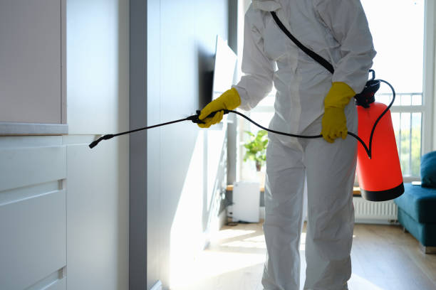 Best Same-Day Mold Removal  in Cleveland, OK
