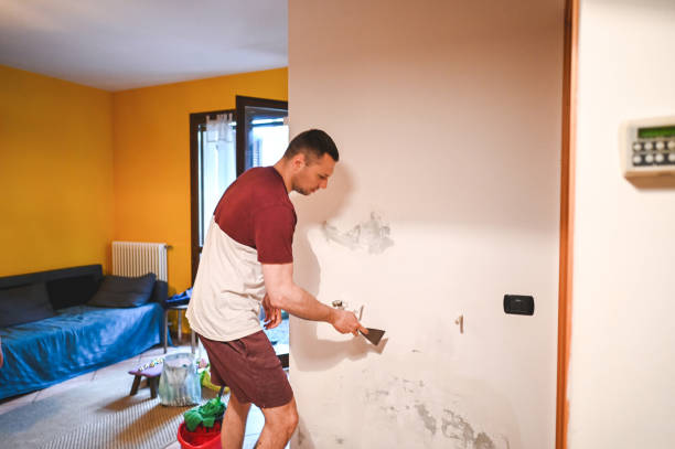 Best Mold Damage Repair  in Cleveland, OK
