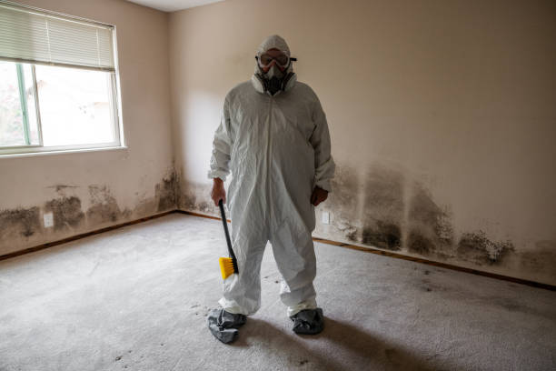 Cleveland, OK Mold Removal Company