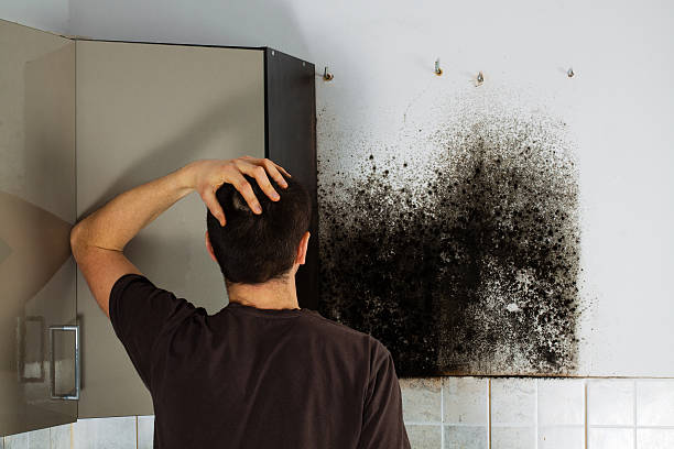 Best Home Mold Removal  in Cleveland, OK
